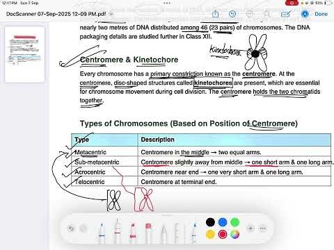 Class 11 Chromosome types (Cell the unit of life) #11th_biology