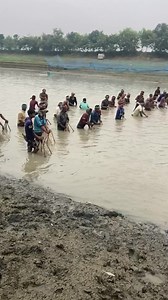 272K views · 1.8K reactions | .Best river fishing | Daily Fishing Life | Facebook