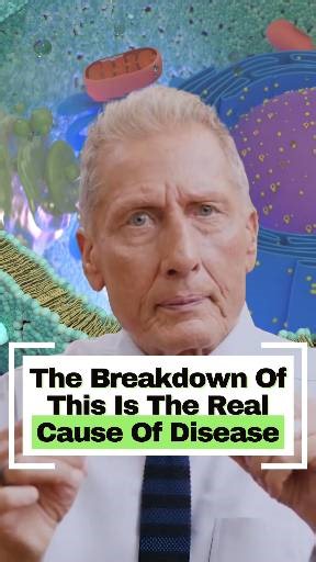 Inside every cell are tiny power plants called mitochondria. Their job is to take in oxygen and nutrients and turn them into energy—the fuel that keeps your body and brain alive and functioning. But here’s the problem: for many people, mitochondria aren’t working at 100%. When that happens, your body simply can’t make the energy it needs. The result? Fatigue, memory problems, liver dysfunction, even heart failure. At the root of almost every chronic illness lies poor mitochondrial function. At L
