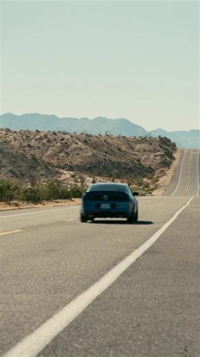 La liberté, c'est l'absence de peur. Une bataille après l'autre, avec Leonardo DiCaprio, au cinéma MCine le 24 septembre. #UneBatailleAprèsLautre #onebattleafteranother | MCine