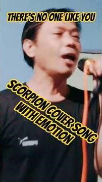 There Is No One Like You (Scorpions) | Emotional Cover