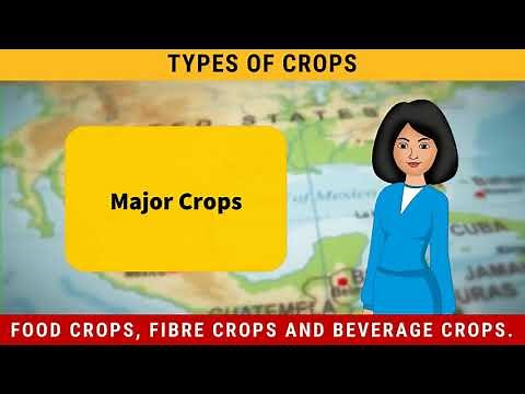 Major Crops | Types of Crops | Social Science - Geography Class 8