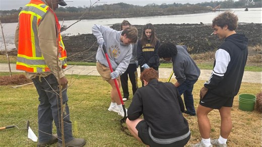 University Laboratory School to be certified as a National Arbor Foundation Tree Campus