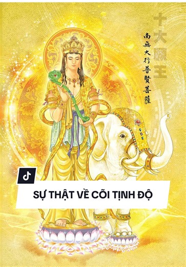 SỰ THẬT VỀ CÕI TỊNH ĐỘ Cre : Thế Hào Thiền Tông chia sẽ #thehaothientongdonngo #thehaothientong #phatphapnhiemmau