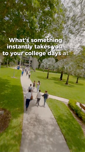 1.9K views · 27 reactions | Campus holds our stories, but it’s the friendships and connections that make them unforgettable.  #PantherPride | FIU Alumni | Facebook