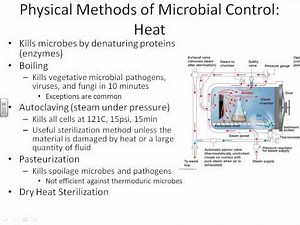 chapter 7 part 1 Dr. Parker