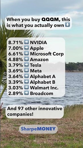 QQQM Holdings Represent some Powerful Innovative Companies #qqqm