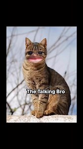 32K views · 1.5K reactions | পরীক্ষা system | The Talking Bro | Facebook