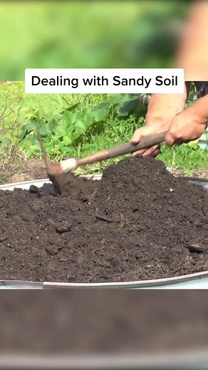 have you dealt with sandy soil before?