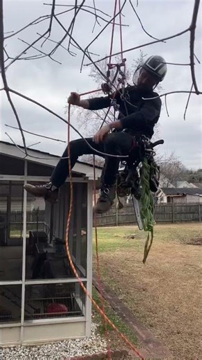 Climbing srt#srtaddicts #srt #arborist #ramtreeservicellc #treework #treending #treeclimbing