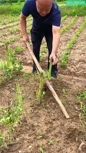 One Lever Tool Removes Tough Roots with Ease 🌱💪