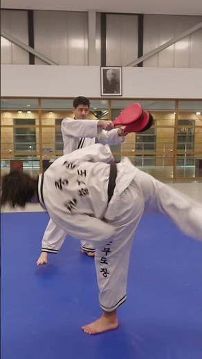 Hapkido kicks