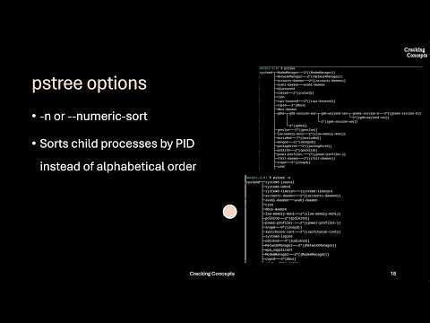 OS LAB 6. Use of fork() and pstree command for process creation in C