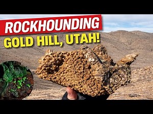 Rockhounding Gold Hill, Utah
