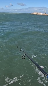 96K views · 8K reactions | PRIMER TIRO Y TE PASA ESTO! MALA SUERTE! UN PETREL EN MI LINEA! | Anzuelo Loco | Facebook