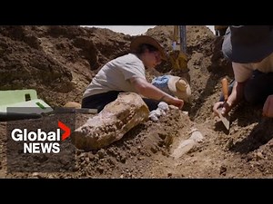 100-million-year-old plesiosaur reptile skeleton found in Australia's outback