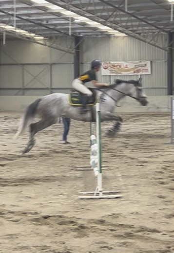 my queen 💗#airlyridgecleo