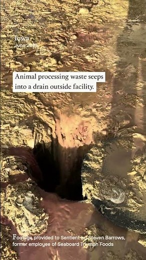 Animal Processing Waste at Seaboard Triumph Foods