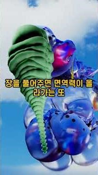 배꼽을 누르면 면역력이 힘을 얻는다#배꼽힐링#복부림프절#면력반응#노폐물 배출#면역세포