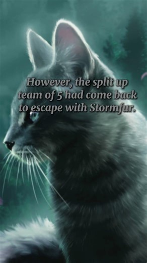 The Six Most Honourable Deaths In WarriorCats: Feathertail