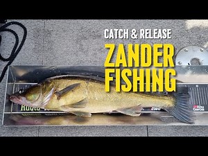 Catch & release fishing in Finland