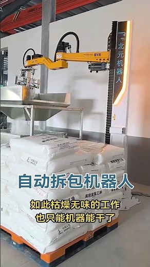 Palletizing & Debagging Robot | Automatic Unpacking & Depalletizing Machine