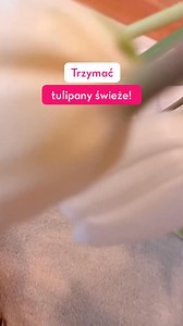 21K views · 21 reactions | Znasz te ciekawostki o tulipanach? 勞 1️⃣...