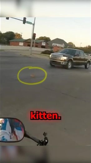 Nobody wanted to Help the Kitten until this happened 🥺 #shorts #viralshorts #kitten