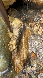 gold prospecting 2026 Finding gold in sand ✅🧽gold prospecting for beginner | Linda Gold Mining