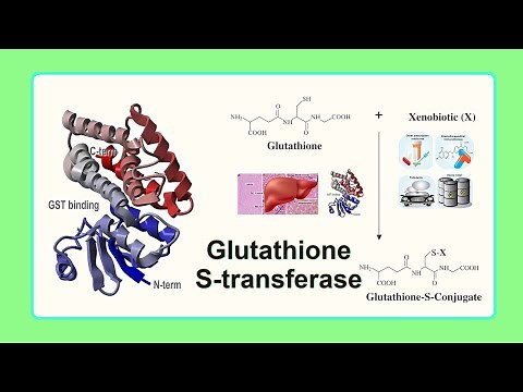 glutathione S-transferase