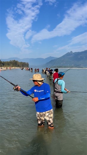Bc_fly_fishing on Instagram: "Fishing for sockeye in Fraser River like this #bc_fly_fishing #alifisher #fraserriver #fraserriverfishing"