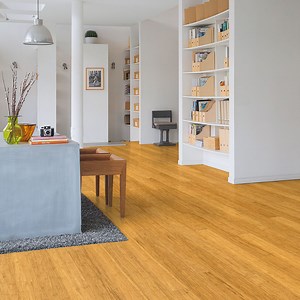 The Pros & Cons of Bamboo Flooring Plus It's History