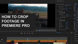 How To Crop A Video In Premiere Pro (  animate it as an effect) - FilmDaft