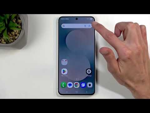 How do I take a screenshot on the SAMSUNG Galaxy S25 FE?