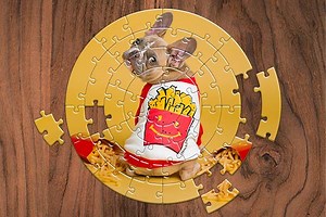 Create Stunning Jigsaw Puzzles: Premium Photoshop Actions