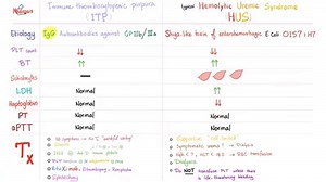 Immune thrombocytopenia (ITP) vs Hemolytic Uremic Syndrome (HUS) | Medicosis Perfectionalis