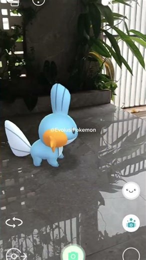 Mudkip Naik Level… BOOM! Jadi Marshtomp! 🚀#pokemon#pokemonevolution#mudkip #marshtomp#shorts