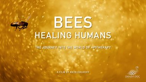 Bees Healing Humans