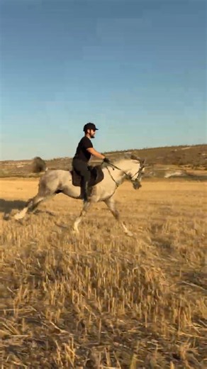 Born to Run | Horseback Across the Open Fields