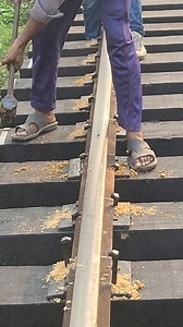 7K views · 27 reactions | Dog pin Set wayman #stationbd #viralvideoシ #trainbd #Bangladesh #railway | Abir Chowdhury | Facebook