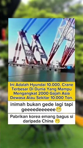 Crane Hyundai Terbesar Di dunia Mampu Angkat 2000 Gajah