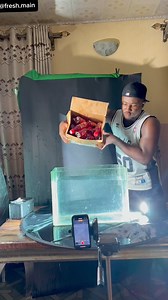 1.6M views · 10K reactions | Phone and bitters | fresh.main | Facebook