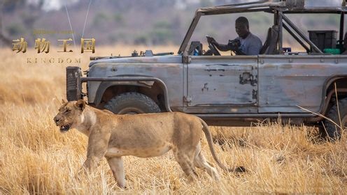 第6集：幕后故事