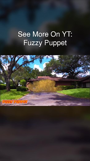 #explosions #explosion #blowup #puppets #funny #fuzzypuppet #fuzzy #lol #challenge #hideandseek #like #fypシ #meme #cute #cuteness #toys #wholesome