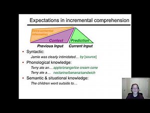 Syntactic ambiguity and interpretation preferences
