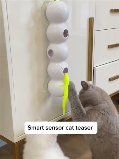 Smart sensor cat toy #cat #bestpetsupplies #cataccessories