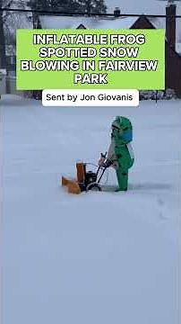 Inflatable frog spotted snow blowing in Fairview Park