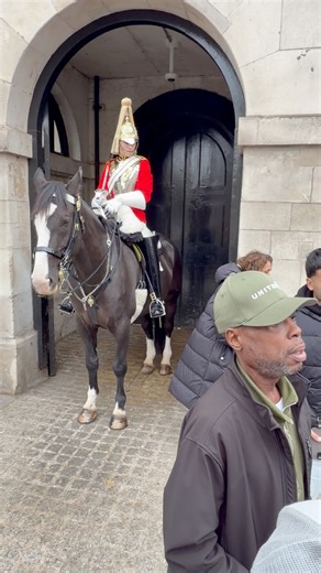 21K views · 200 reactions | Horse guard parade London | The Royal King’s Guards Reel | Facebook