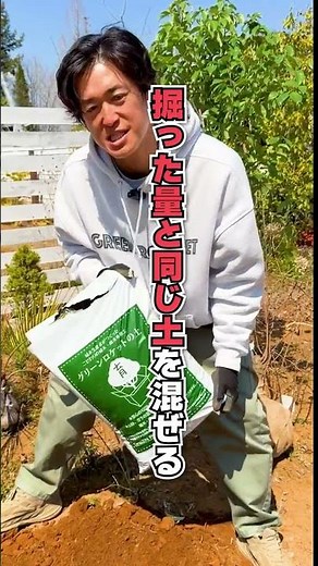 How to plant a tree in 40 seconds #Even beginners can do it #Anyone can plant a tree #trees #how ...