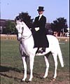 Riding Side-saddle - Horse & Hound